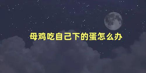 母鸡吃自己下的蛋怎么办