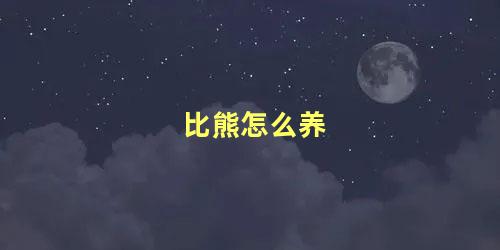 比熊怎么养