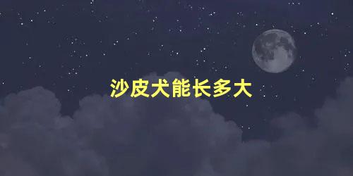 沙皮犬能长多大