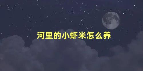 河里的小虾米怎么养