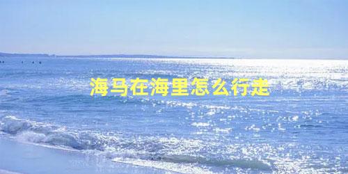 海马在海里怎么行走