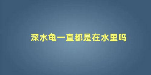 深水龟一直都是在水里吗