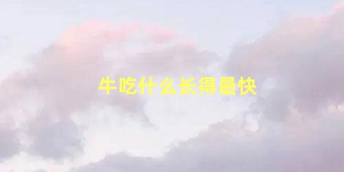 牛吃什么长得最快