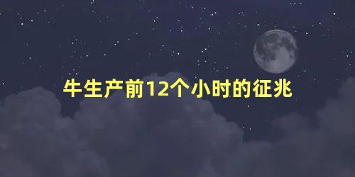 牛生产前12个小时的征兆