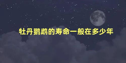 牡丹鹦鹉的寿命一般在多少年