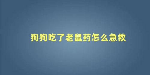 狗狗吃了老鼠药怎么急救