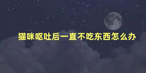 猫咪呕吐后一直不吃东西怎么办