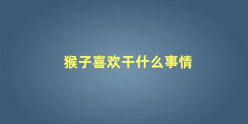 猴子喜欢干什么事情