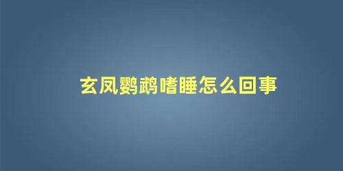 玄凤鹦鹉嗜睡怎么回事