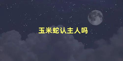 玉米蛇认主人吗