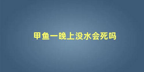 甲鱼一晚上没水会死吗