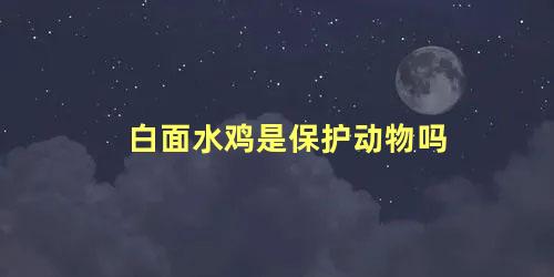 白面水鸡是保护动物吗