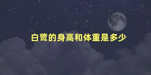 白鹭的身高和体重是多少