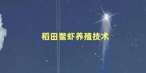 稻田鳖虾养殖技术