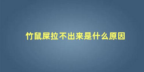 竹鼠屎拉不出来是什么原因