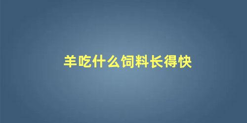 羊吃什么饲料长得快