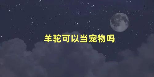 羊驼可以当宠物吗