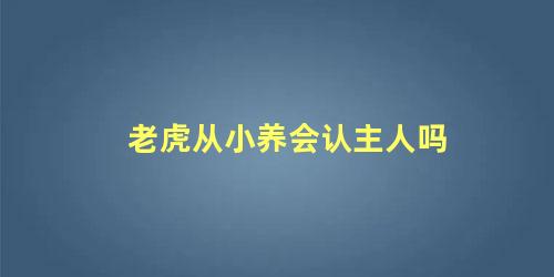 老虎从小养会认主人吗