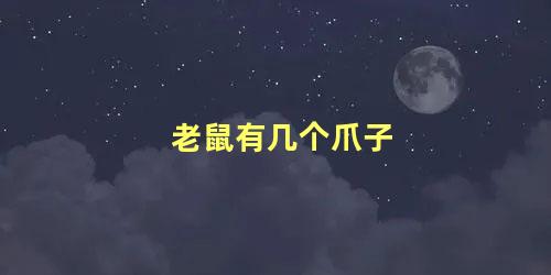 老鼠有几个爪子