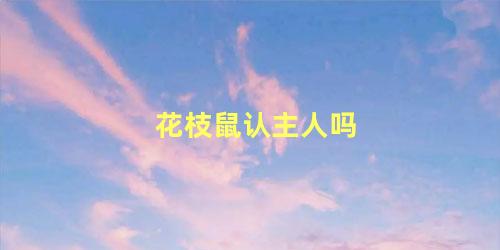 花枝鼠认主人吗