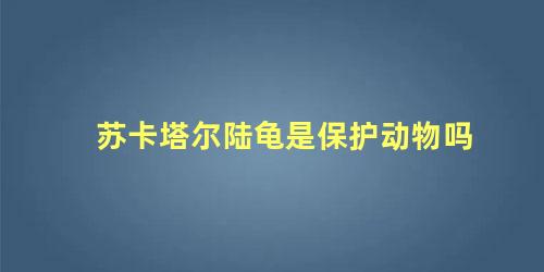 苏卡塔尔陆龟是保护动物吗