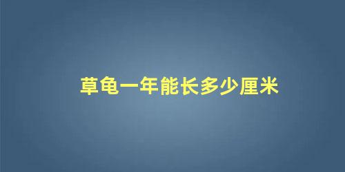 草龟一年能长多少厘米