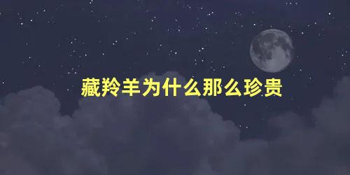 藏羚羊为什么那么珍贵