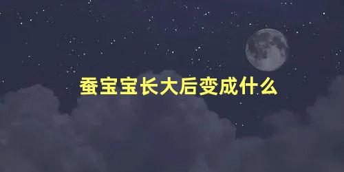 蚕宝宝长大后变成什么