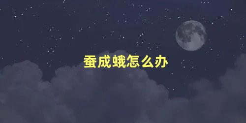 蚕成蛾怎么办