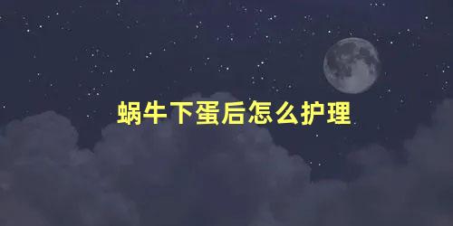 蜗牛下蛋后怎么护理