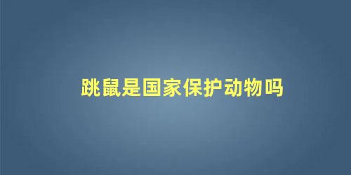 跳鼠是国家保护动物吗