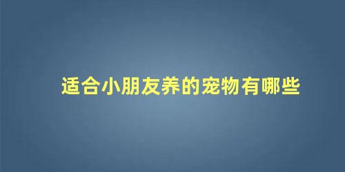 适合小朋友养的宠物有哪些