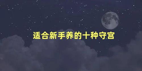 适合新手养的十种守宫