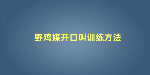 野鸡媒开口叫训练方法