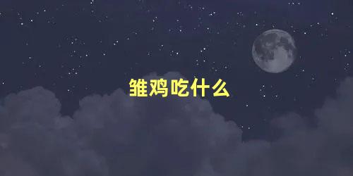 雏鸡吃什么