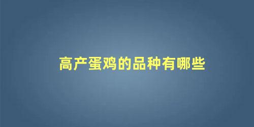 高产蛋鸡的品种有哪些