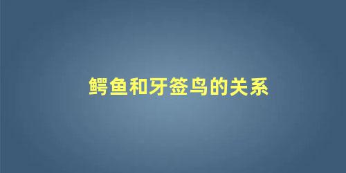 鳄鱼和牙签鸟的关系