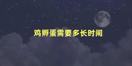 鸡孵蛋需要多长时间