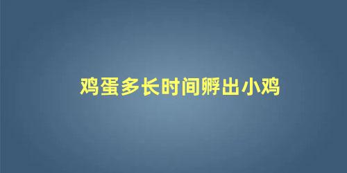 鸡蛋多长时间孵出小鸡