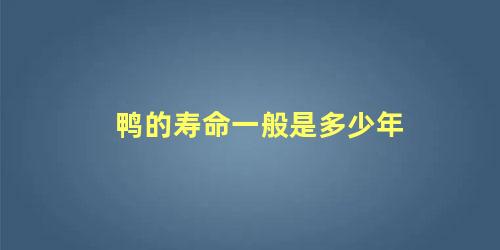 鸭的寿命一般是多少年