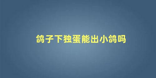 鸽子下独蛋能出小鸽吗