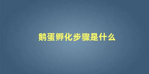 鹅蛋孵化步骤是什么