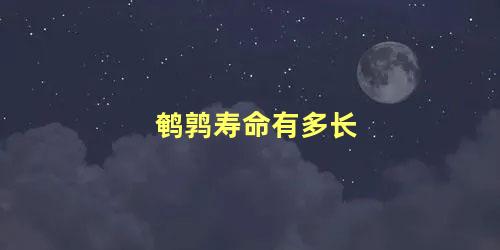 鹌鹑寿命有多长