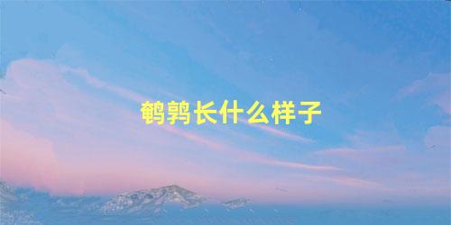 鹌鹑长什么样子