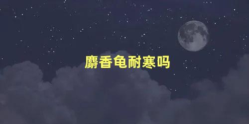 麝香龟耐寒吗