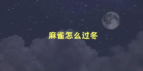 麻雀怎么过冬