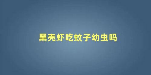 黑壳虾吃蚊子幼虫吗