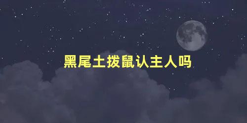 黑尾土拨鼠认主人吗